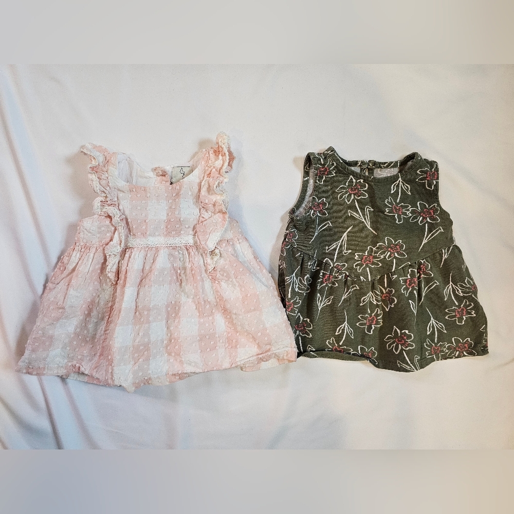 Baby Girls Dresses- Joie And Carter's- Pink And Green Gingham Floral- 12 Month